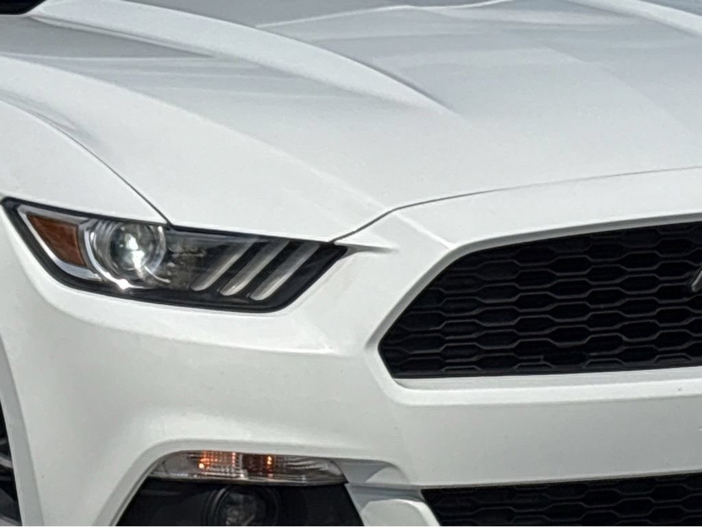 Used 2017 Ford Mustang Premium w/ Equipment Group 201A RWD image 2