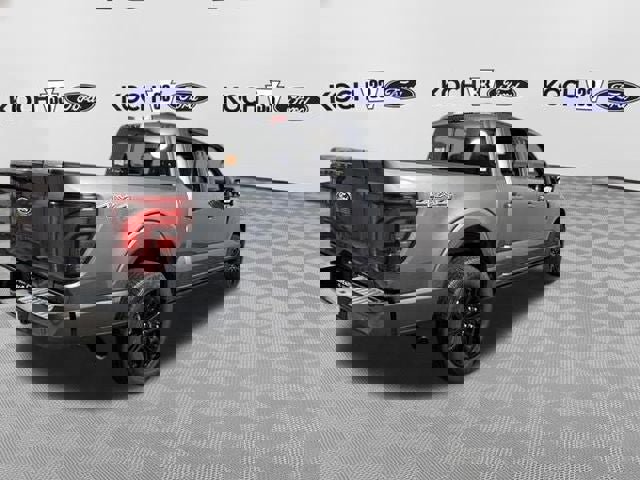 New 2026 Ford F150 Platinum w/ Equipment Group 702A High image 8