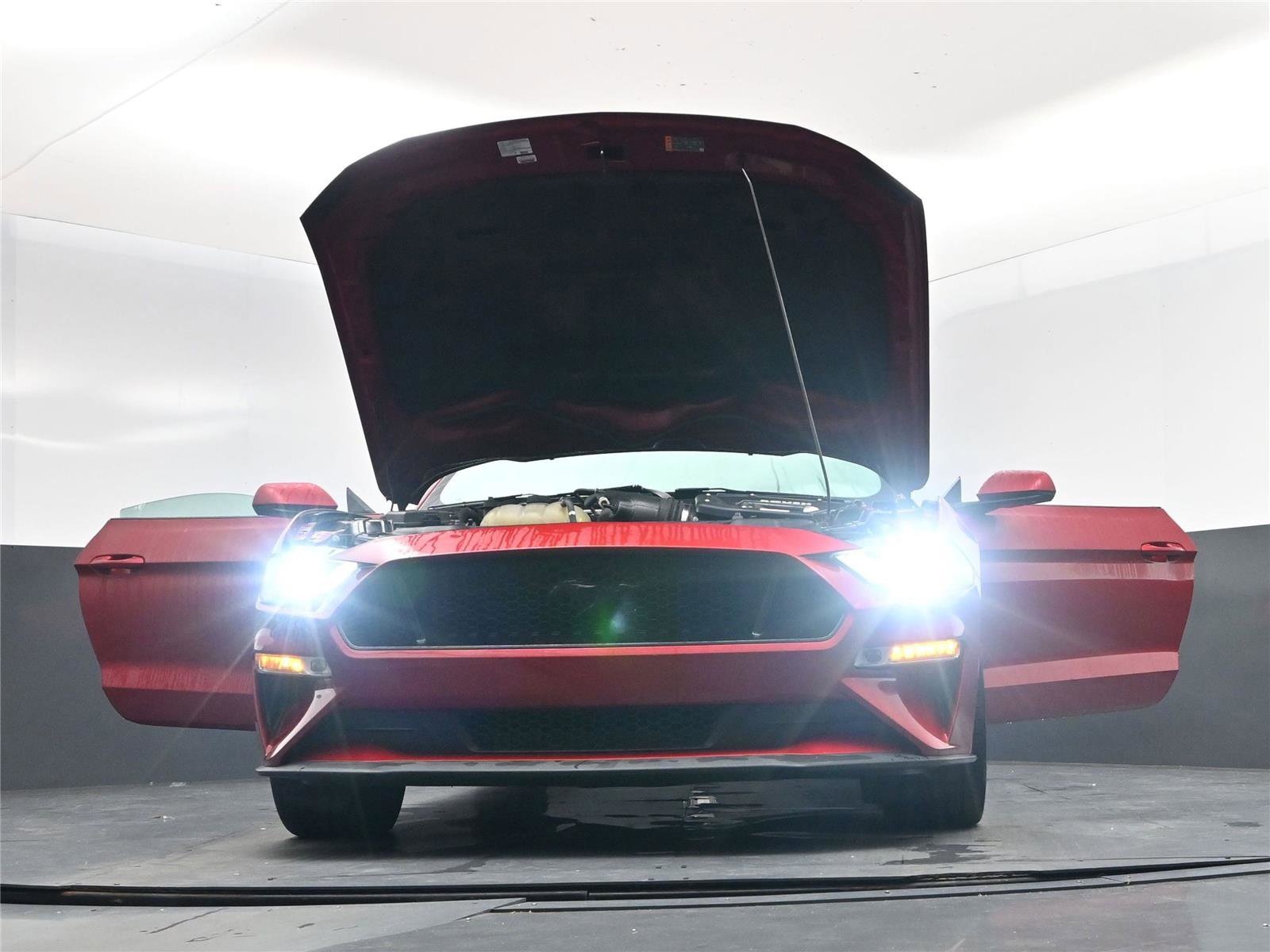 Used 2020 Ford Mustang GT Premium w/ Equipment Group 401A image 22