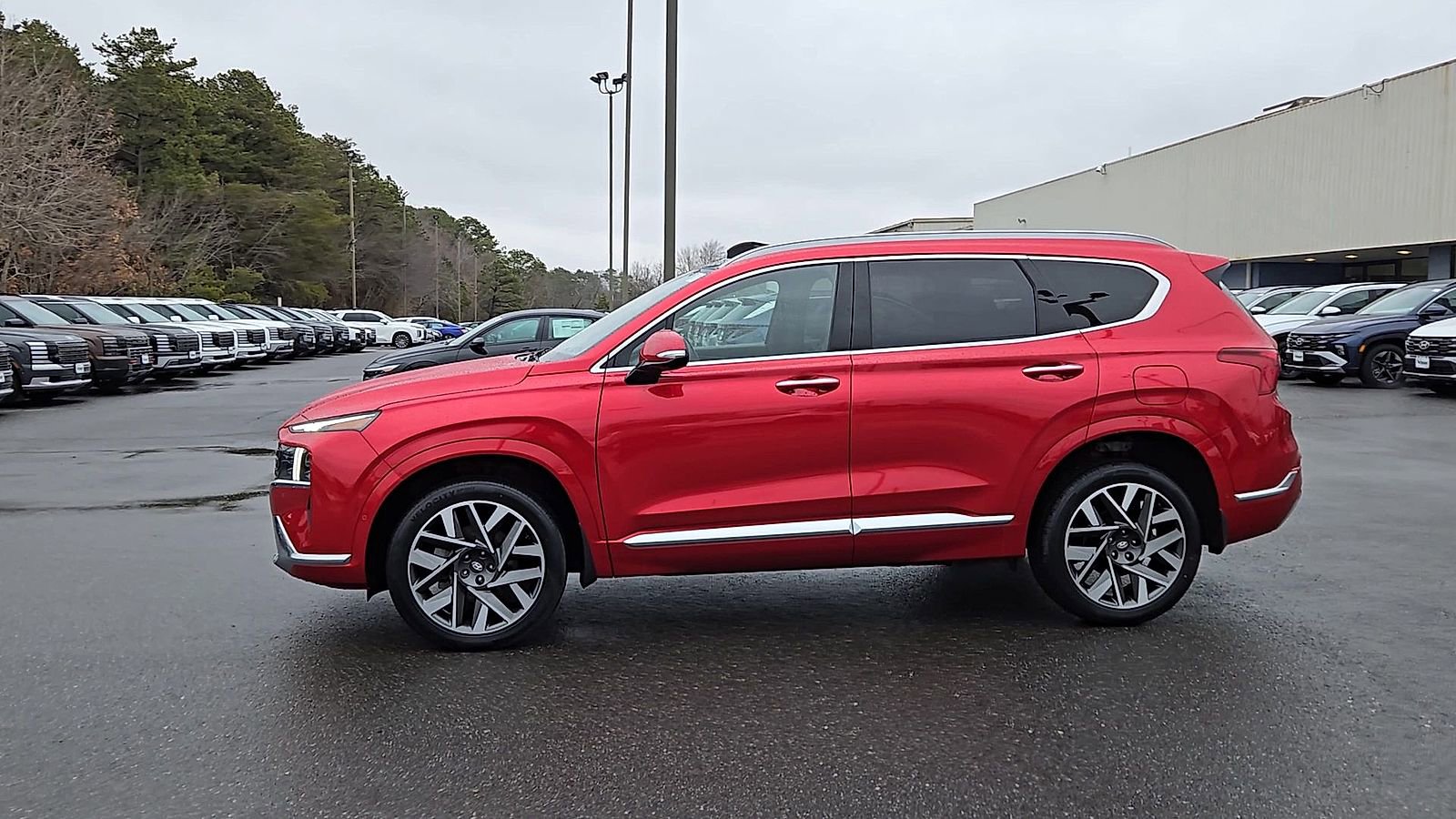 Certified 2023 Hyundai Santa Fe Calligraphy image 5