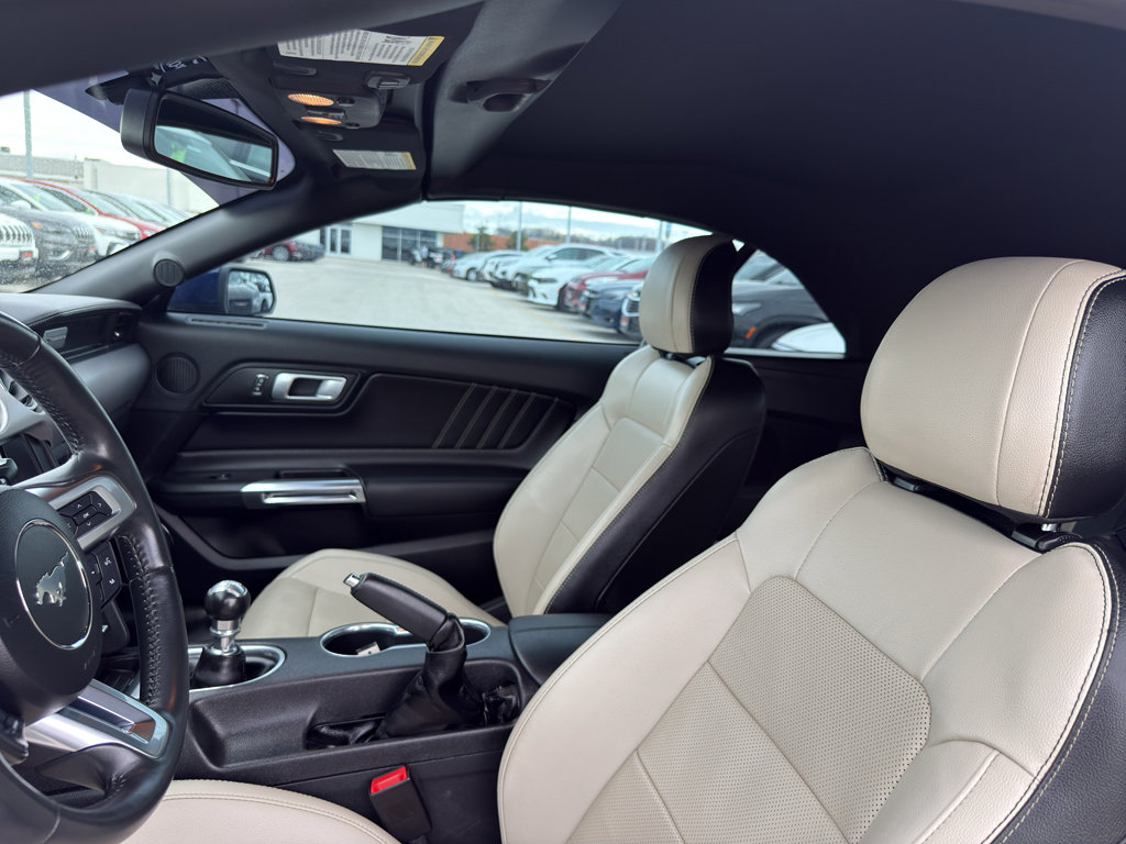 Used 2019 Ford Mustang Premium RWD image 26