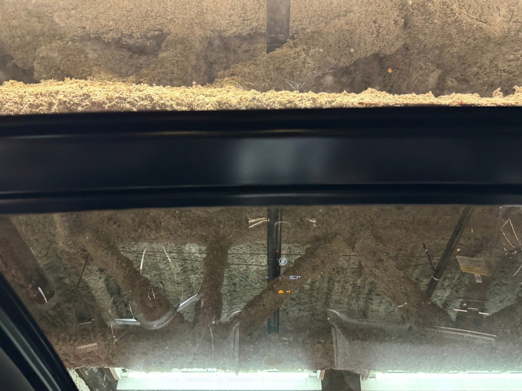 New 2026 Acura MDX A-Spec image 21