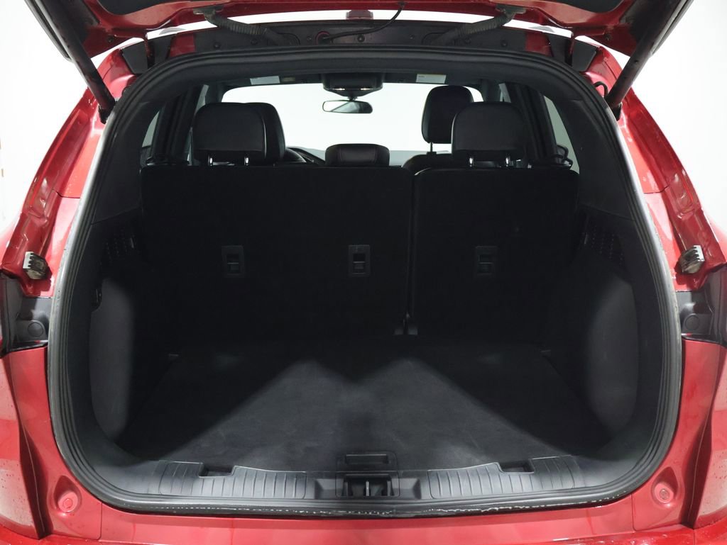 Used 2024 Ford Escape ST-Line image 4