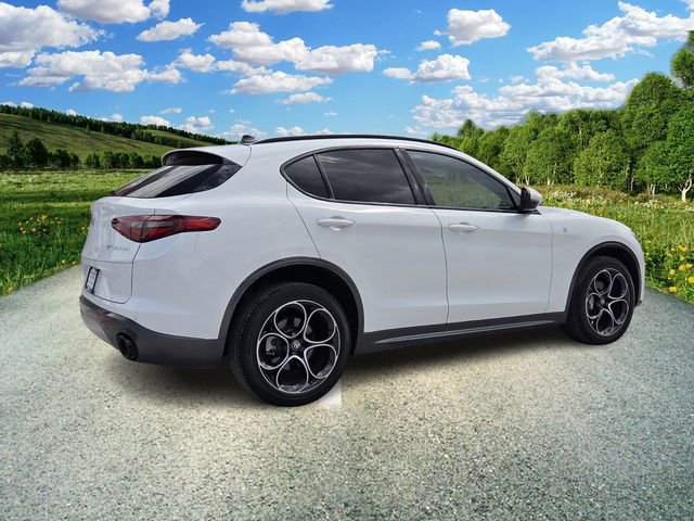 Used 2023 Alfa Romeo Stelvio Ti image 6