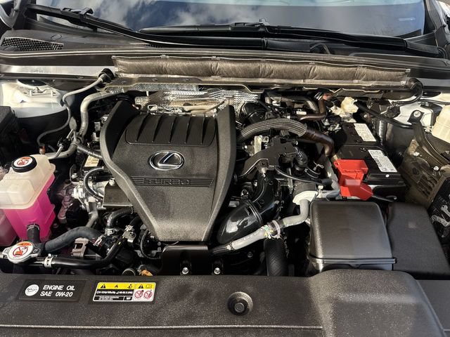 Used 2024 Lexus RX 350 Premium Plus w/ Convenience Package FWD image 30