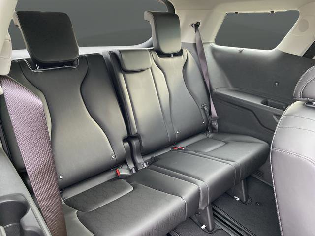 New 2026 Kia Carnival SX w/ SX Dark Edition Package image 34