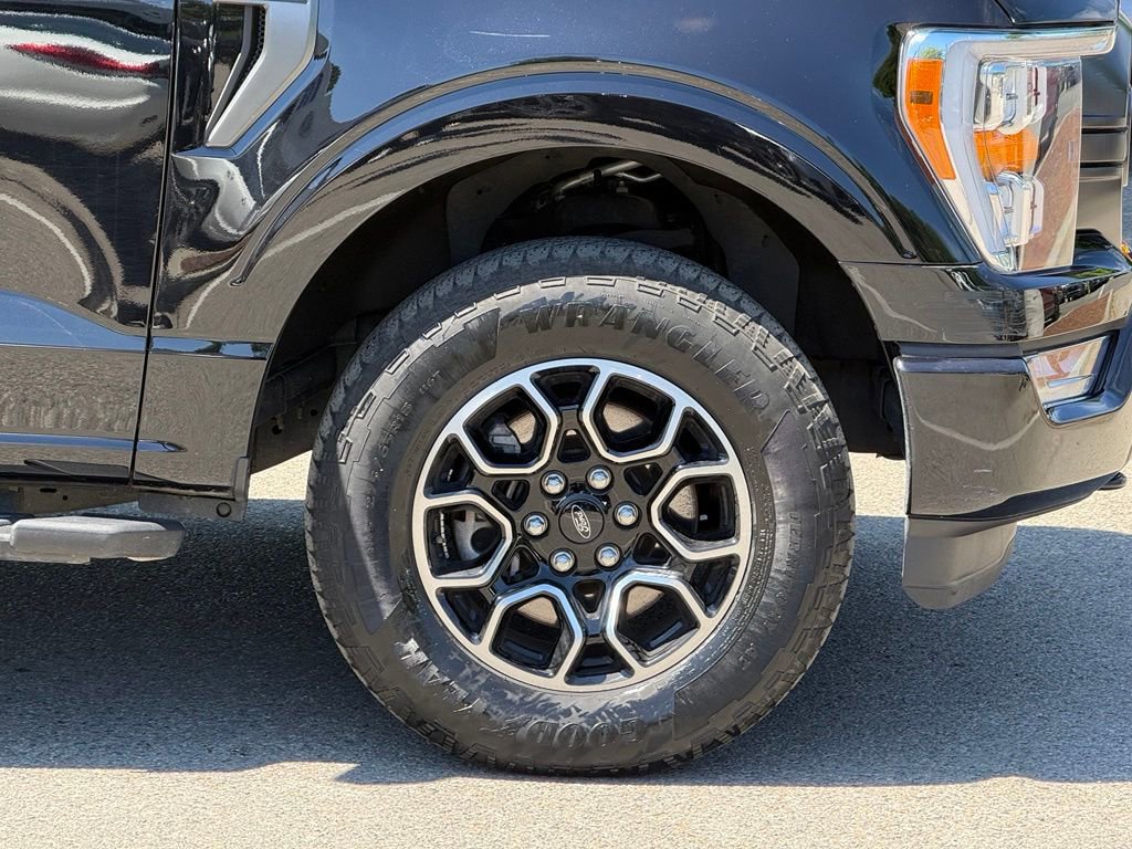 Used 2023 Ford F150 XLT w/ Equipment Group 302A High AWD/4WD image 6