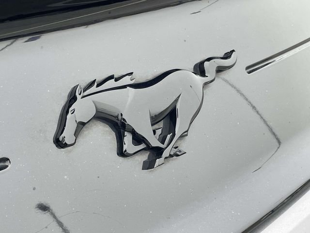 Certified 2023 Ford Mustang EcoBoost w/ Equipment Group 101A image 9