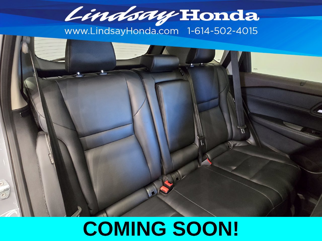 Used 2023 Nissan Rogue SL w/ SL Premium Package AWD/4WD image 8