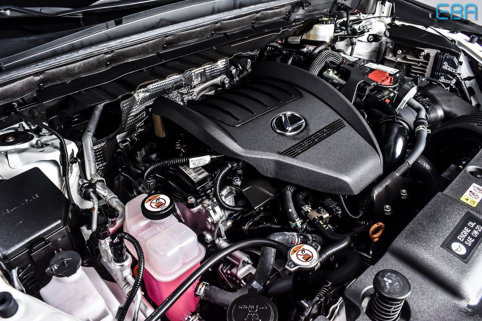 Used 2024 Lexus NX 350 F Sport AWD/4WD image 13