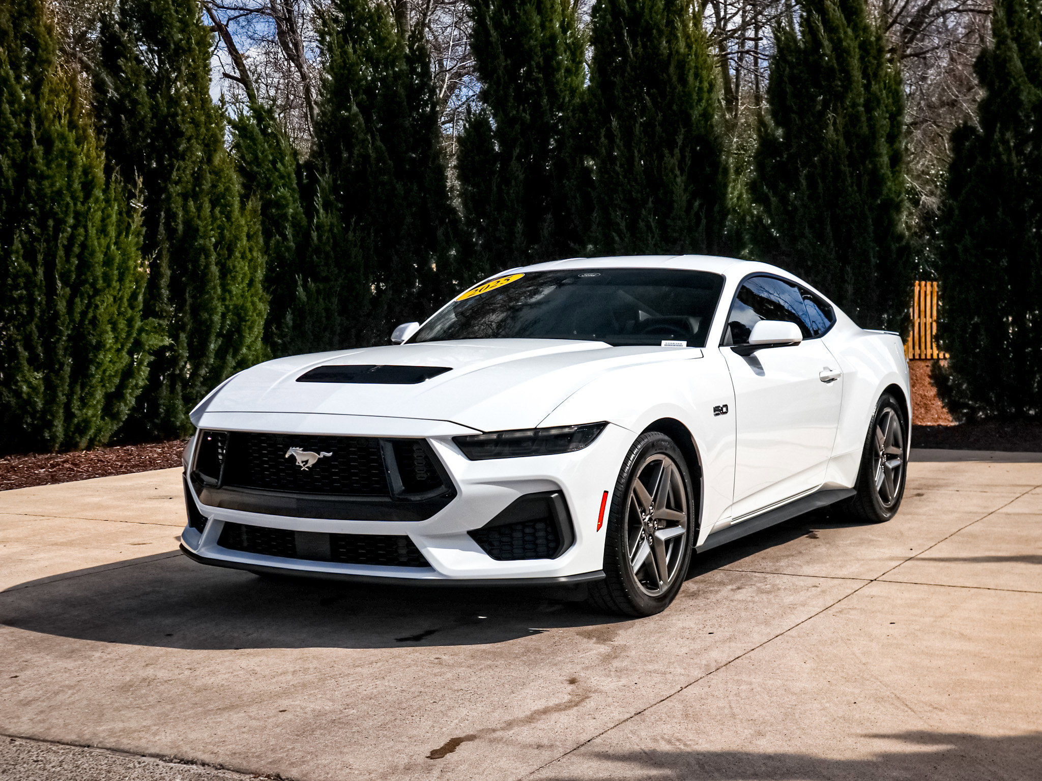 Used 2025 Ford Mustang GT image 5