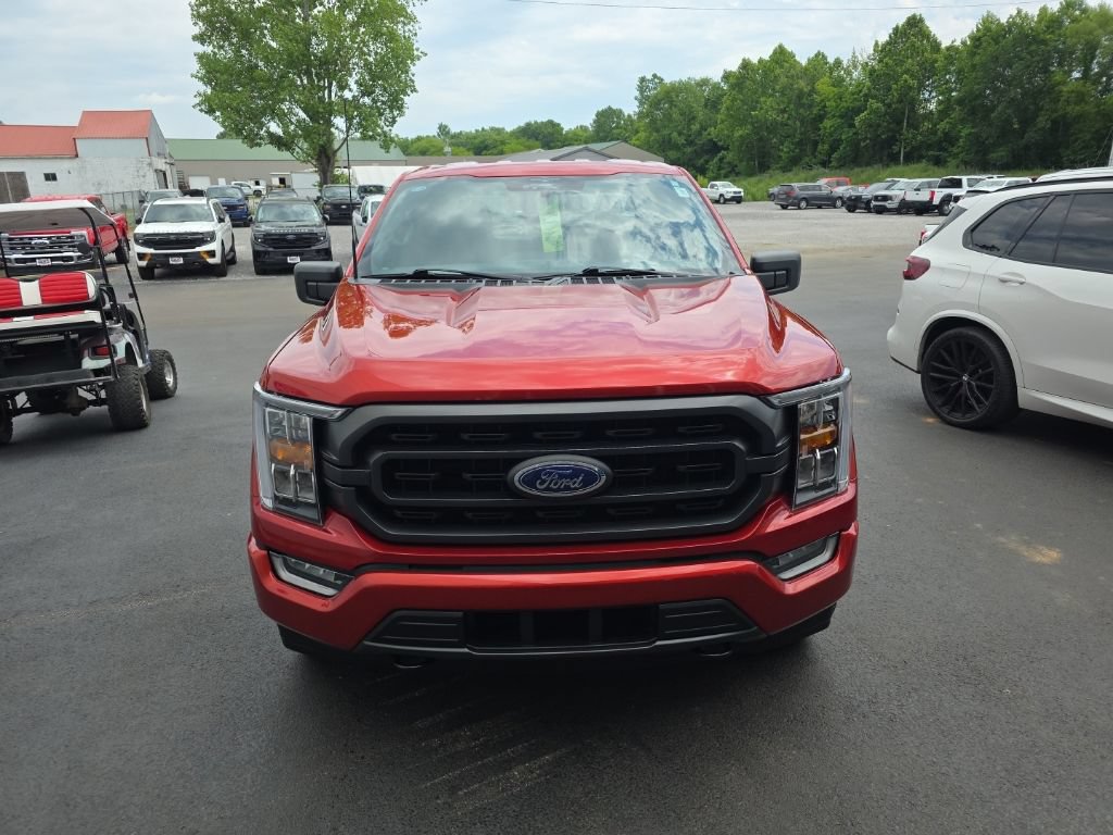 Used 2023 Ford F150 XLT w/ Equipment Group 302A High AWD/4WD image 3