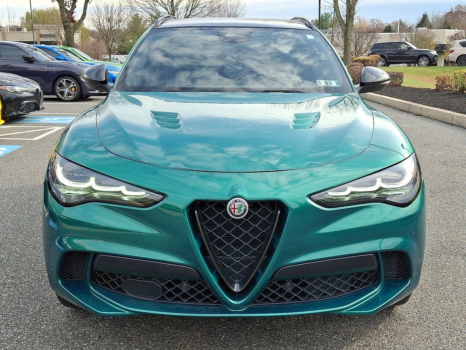 Used 2024 Alfa Romeo Stelvio Quadrifoglio AWD/4WD image 2
