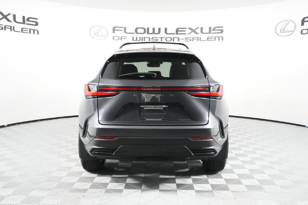Certified 2024 Lexus NX 250 FWD image 6