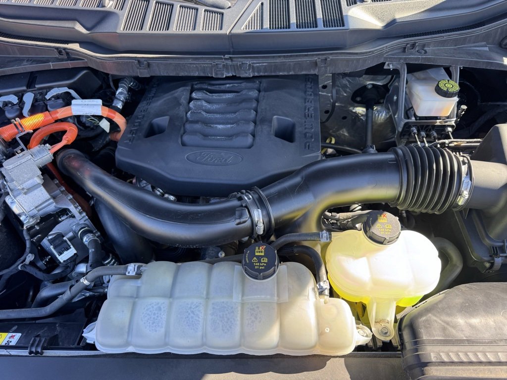 Used 2023 Ford F150 Limited image 42