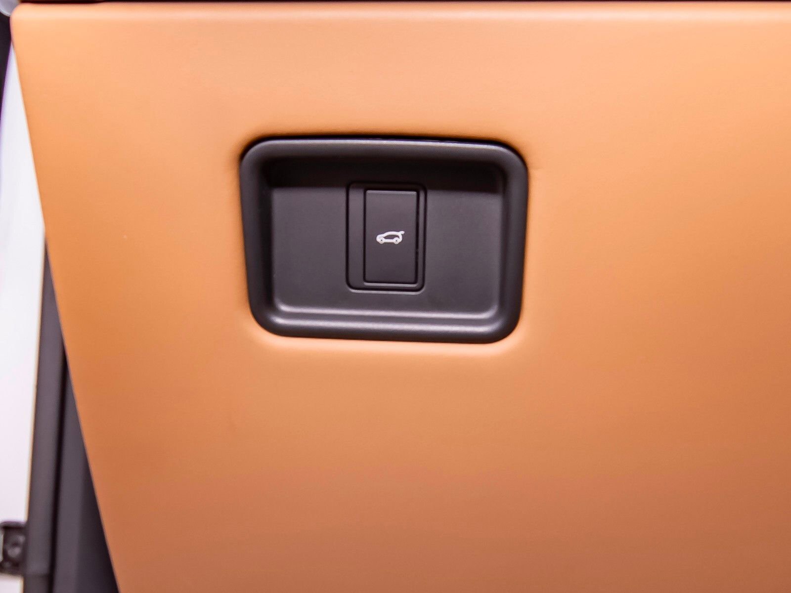 New 2025 Land Rover Range Rover Autobiography image 11