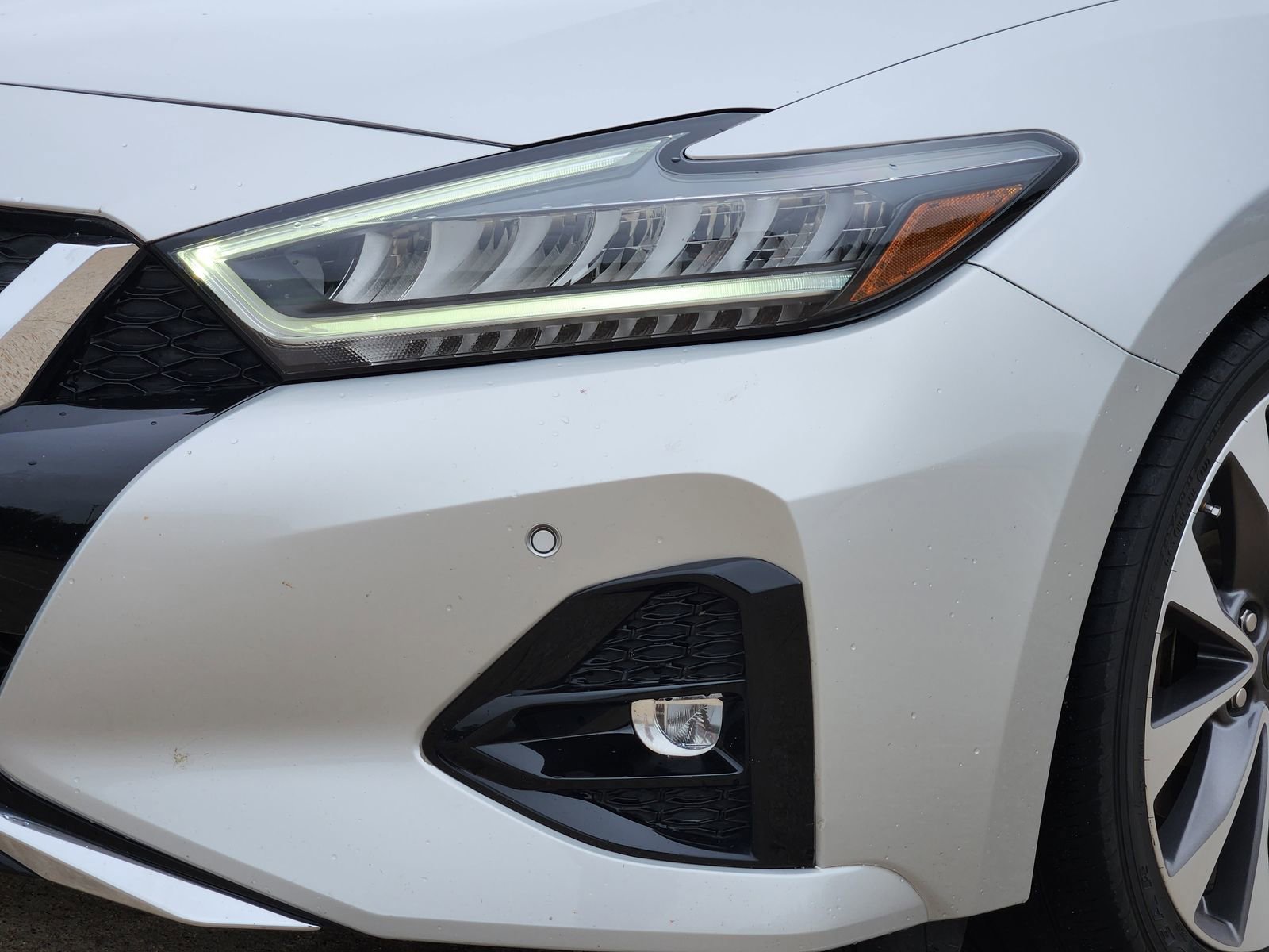 Used 2023 Nissan Maxima Platinum w/ Sport Mat Group FWD image 10