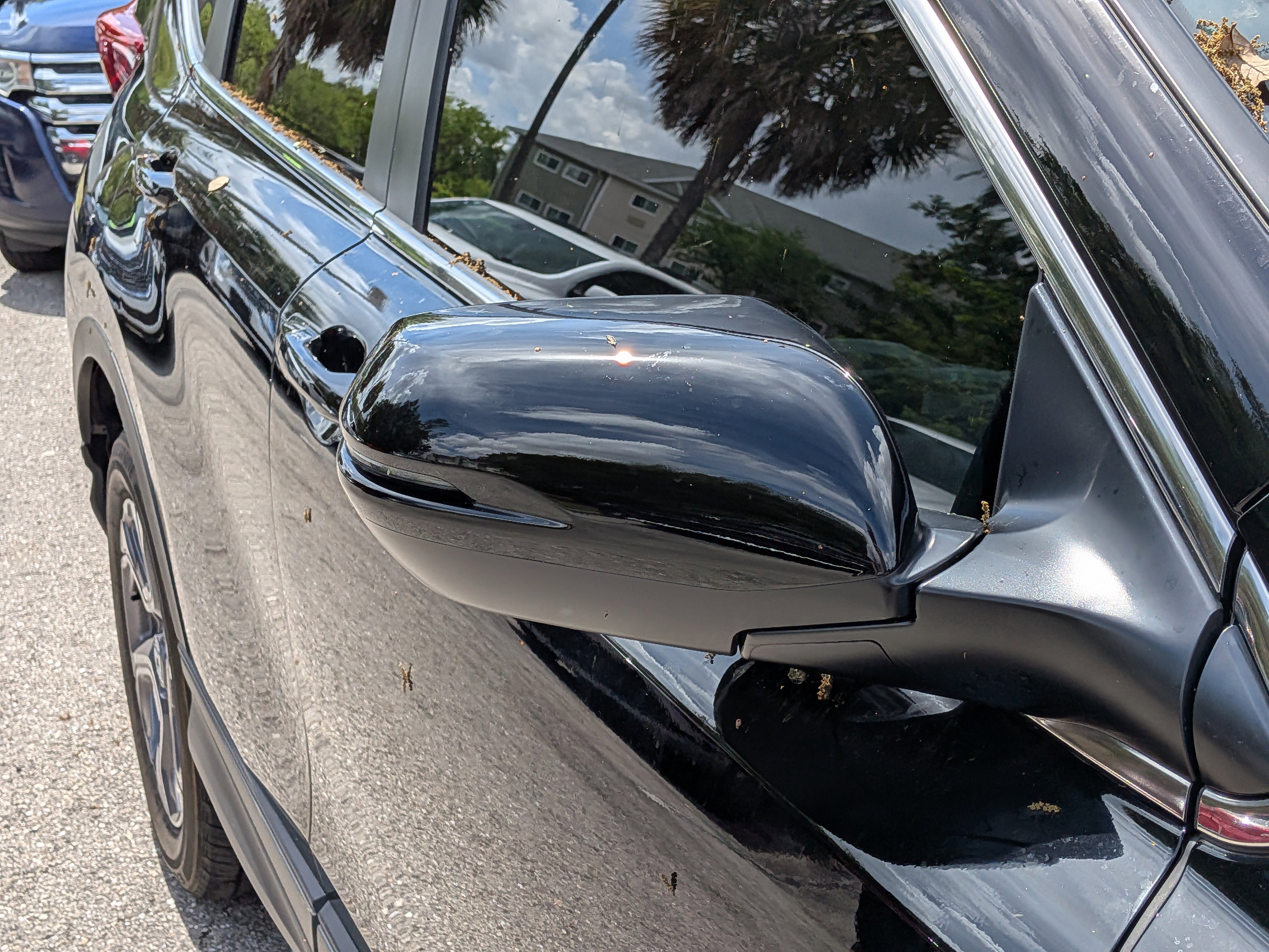 Used 2019 Honda CR-V EX-L image 12