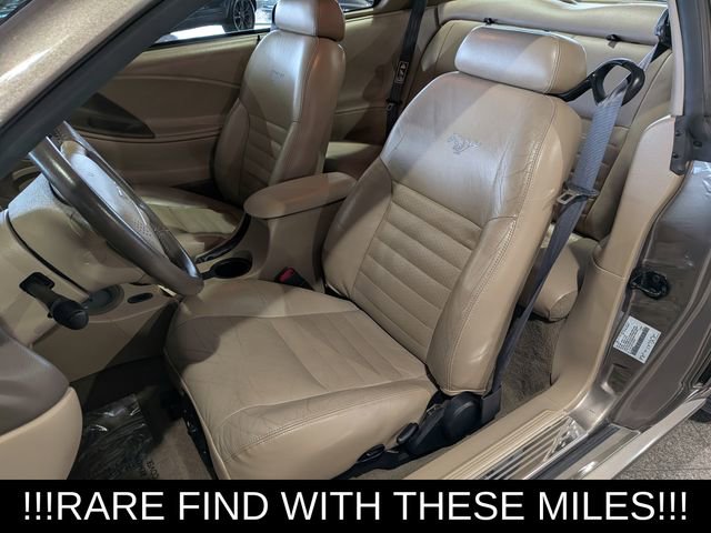 Used 2001 Ford Mustang GT image 15