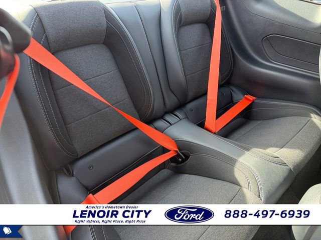Used 2026 Ford Mustang EcoBoost image 12