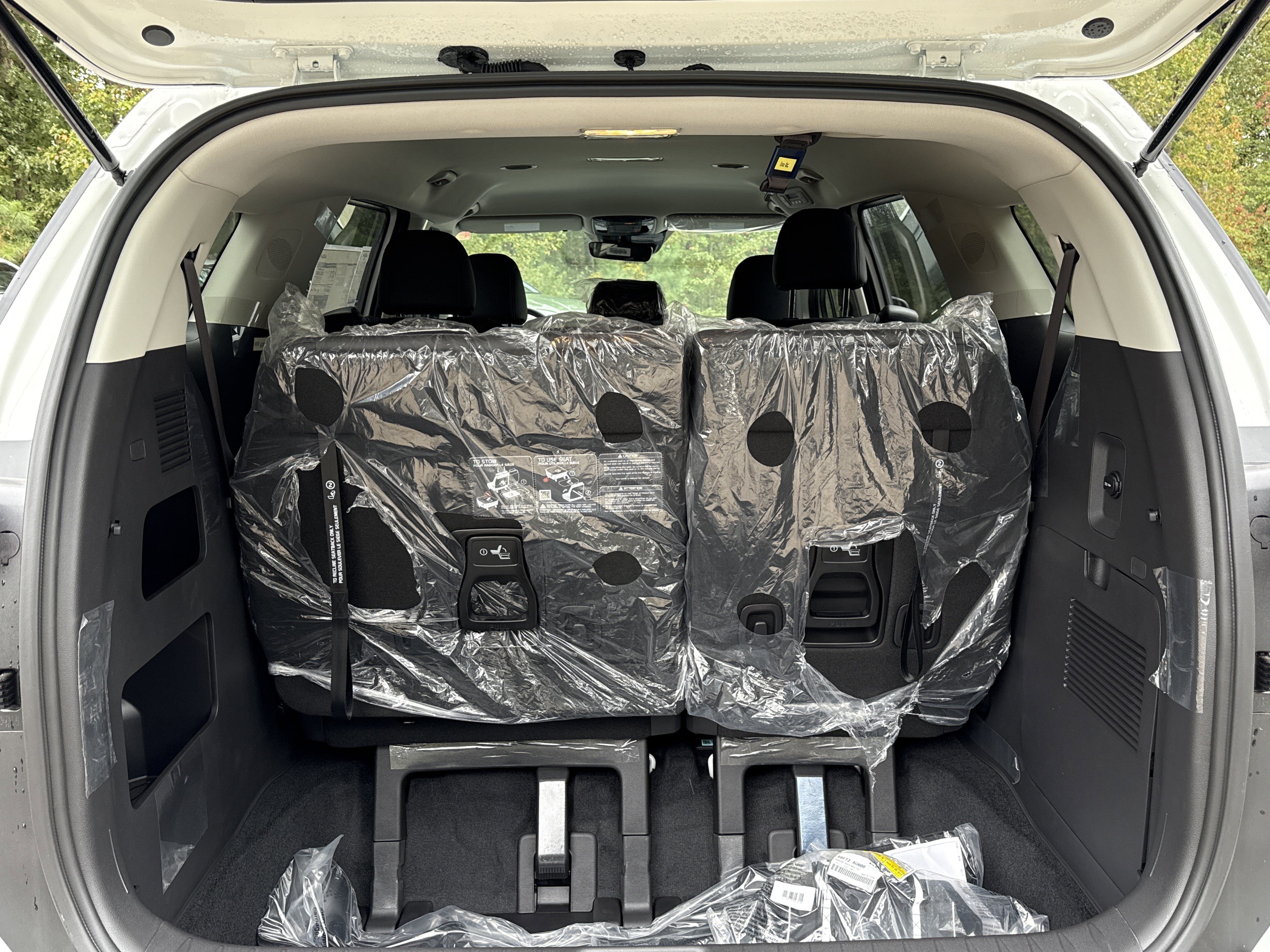 New 2025 Kia Carnival image 19