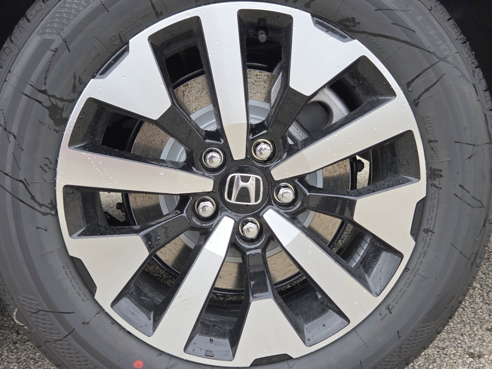 New 2026 Honda Odyssey EX-L image 13