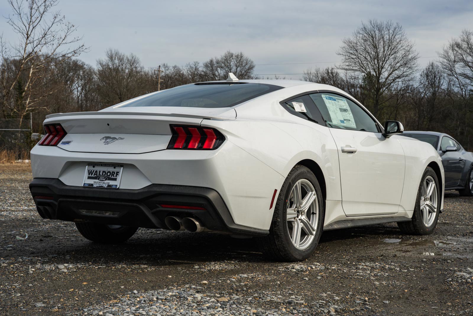 New 2026 Ford Mustang Premium RWD image 5