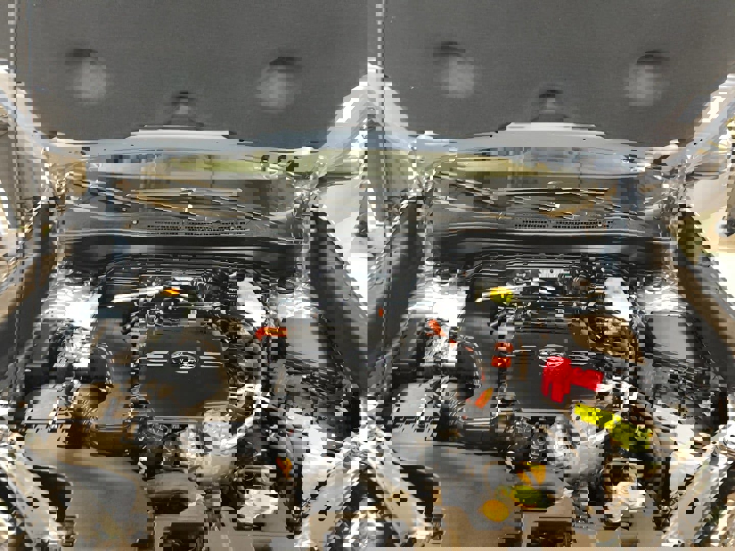 Used 2025 Subaru Forester Limited image 26