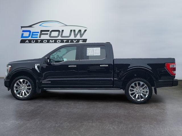 Used 2023 Ford F150 Limited image 6