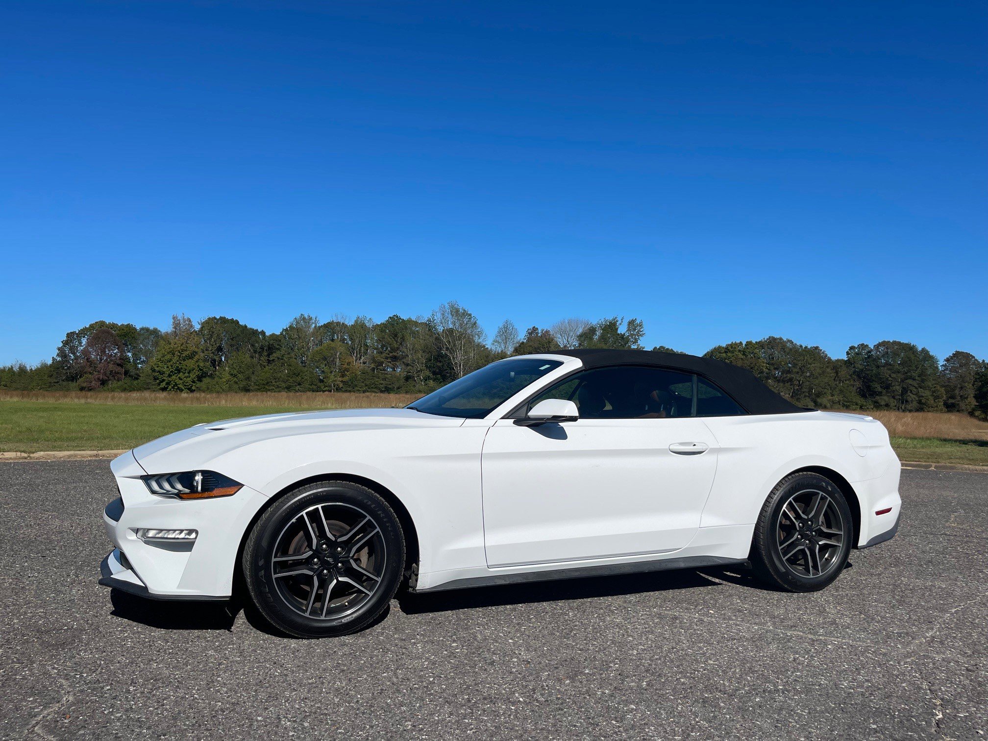 Used 2018 Ford Mustang Premium RWD image 1