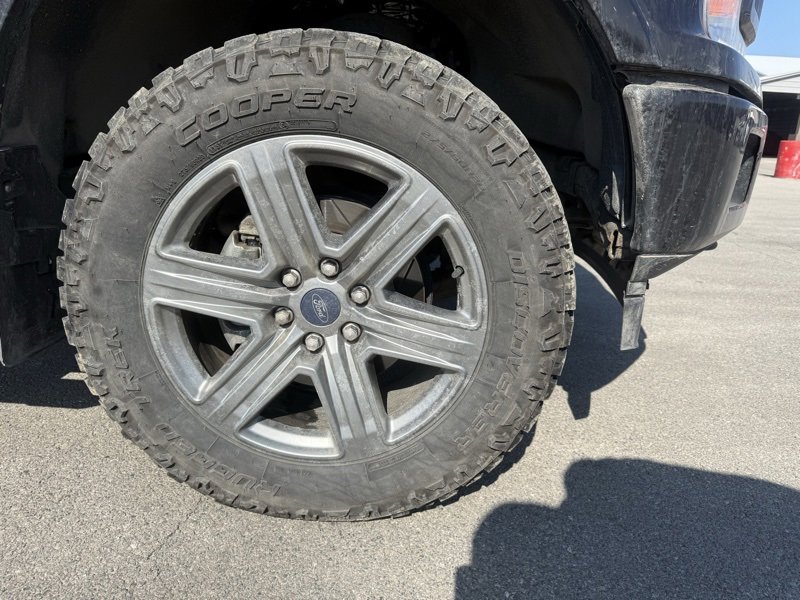 Used 2019 Ford F150 XLT w/ Equipment Group 302A Luxury image 4