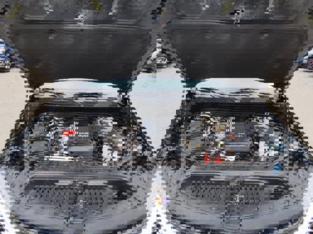 Used 2020 Chevrolet Silverado 1500 LT w/ All-Star Edition image 12