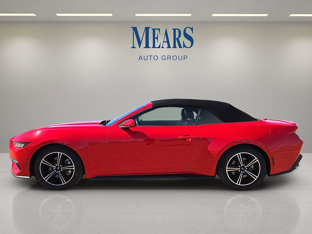 Used 2024 Ford Mustang Premium image 2