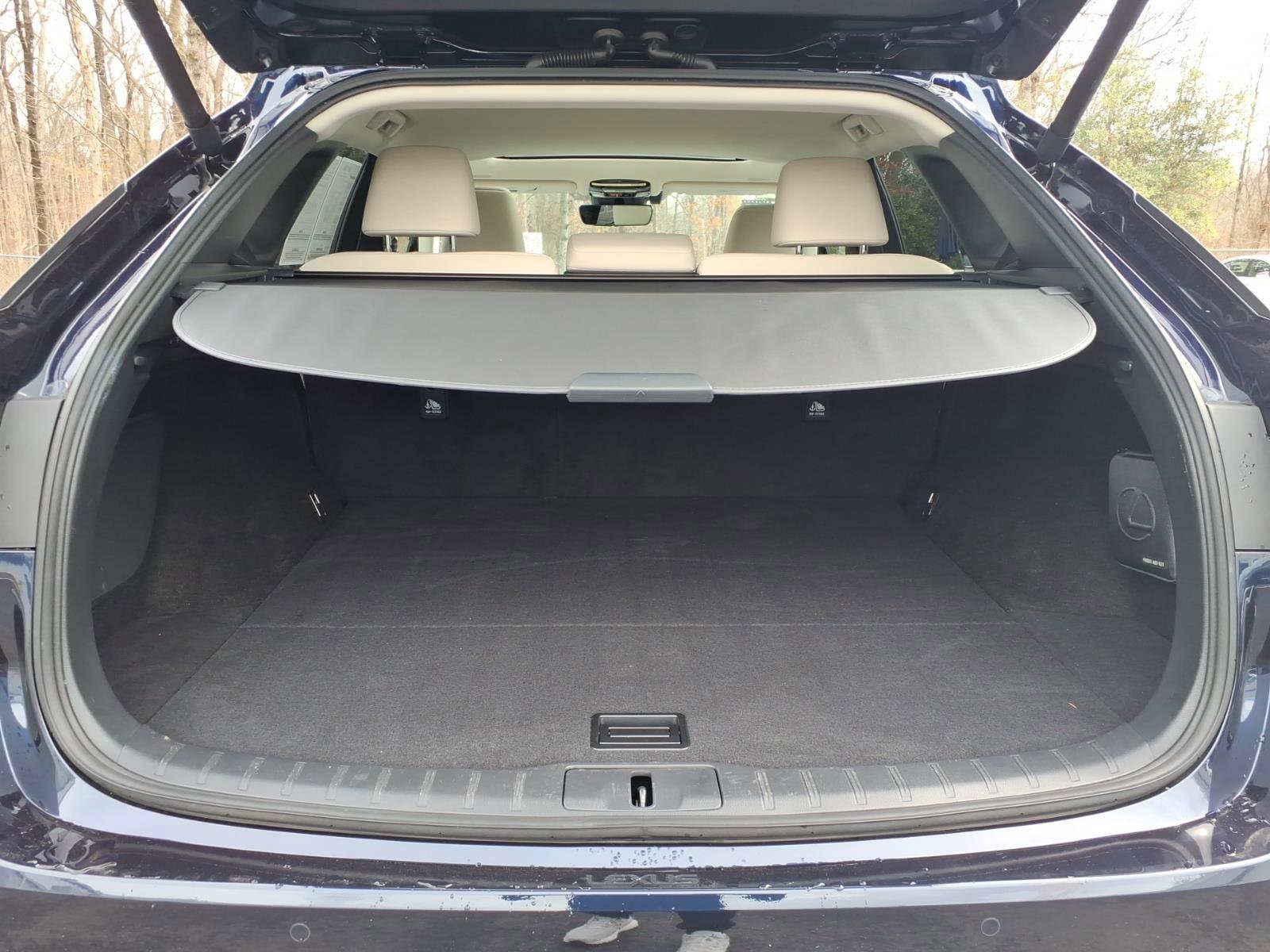 Used 2024 Lexus RX 350 Premium w/ Cold Area Package image 18