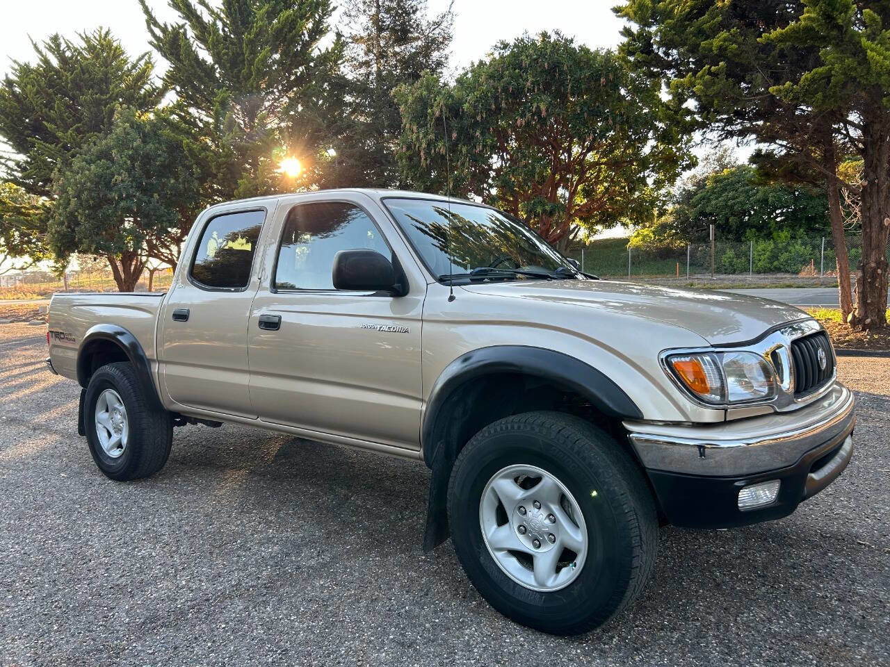 Used 2003 Toyota Tacoma PreRunner image 11