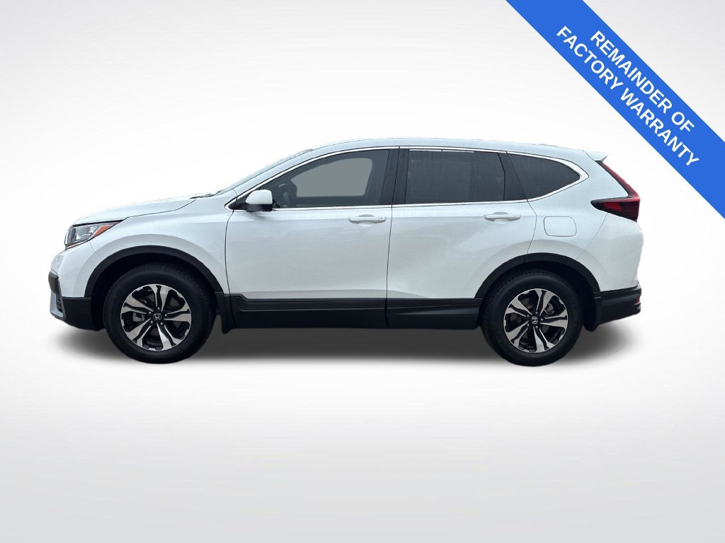Used 2022 Honda CR-V Special Edition image 6