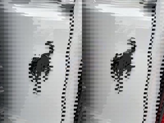 Used 2023 Ford Bronco Wildtrak image 21