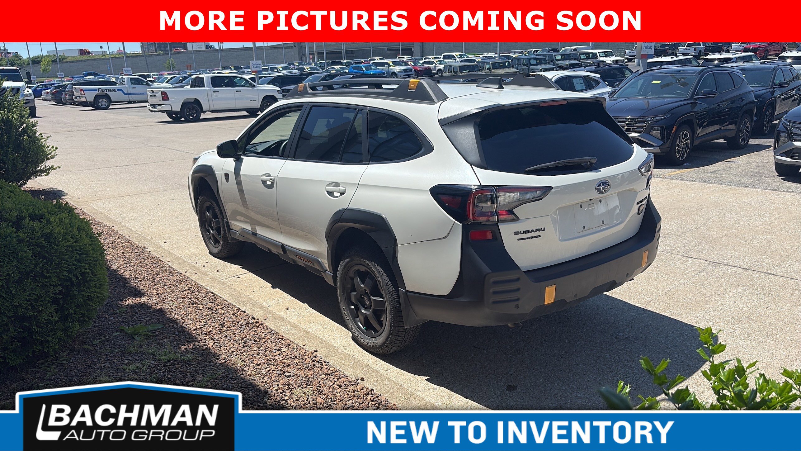 Used 2025 Subaru Outback Wilderness AWD/4WD image 4