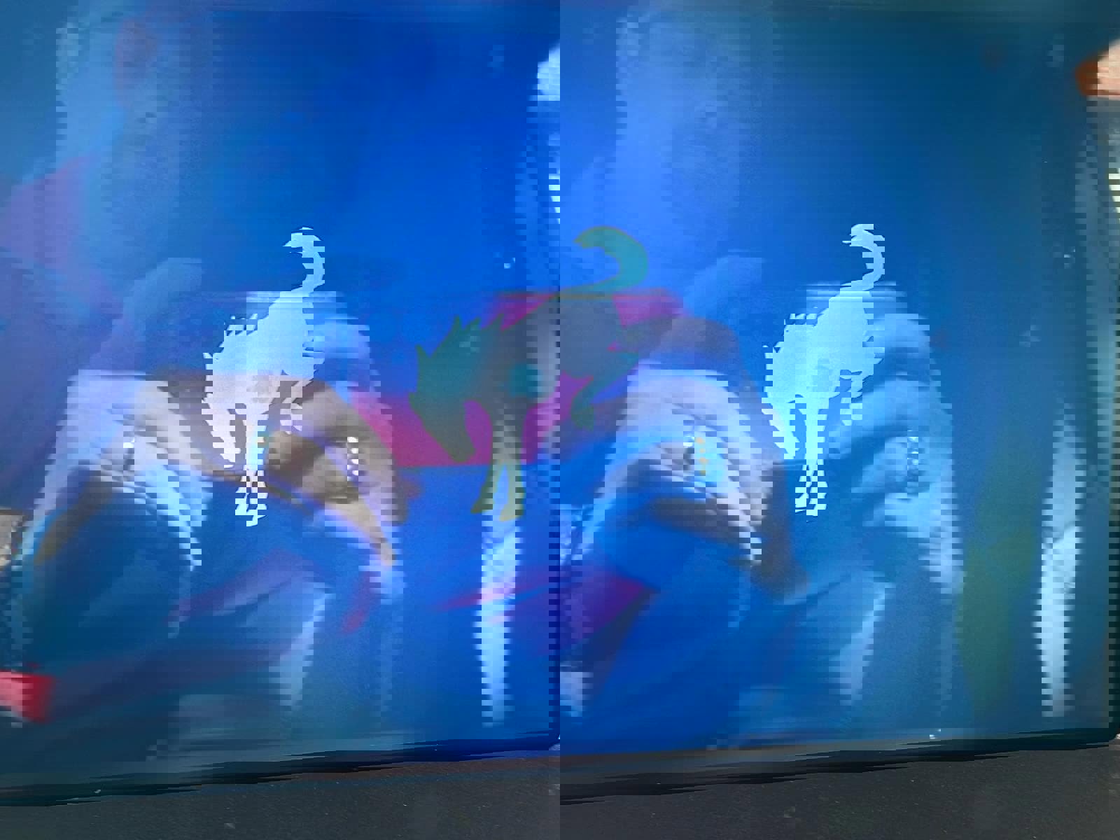 New 2024 Ford Bronco Big Bend image 6