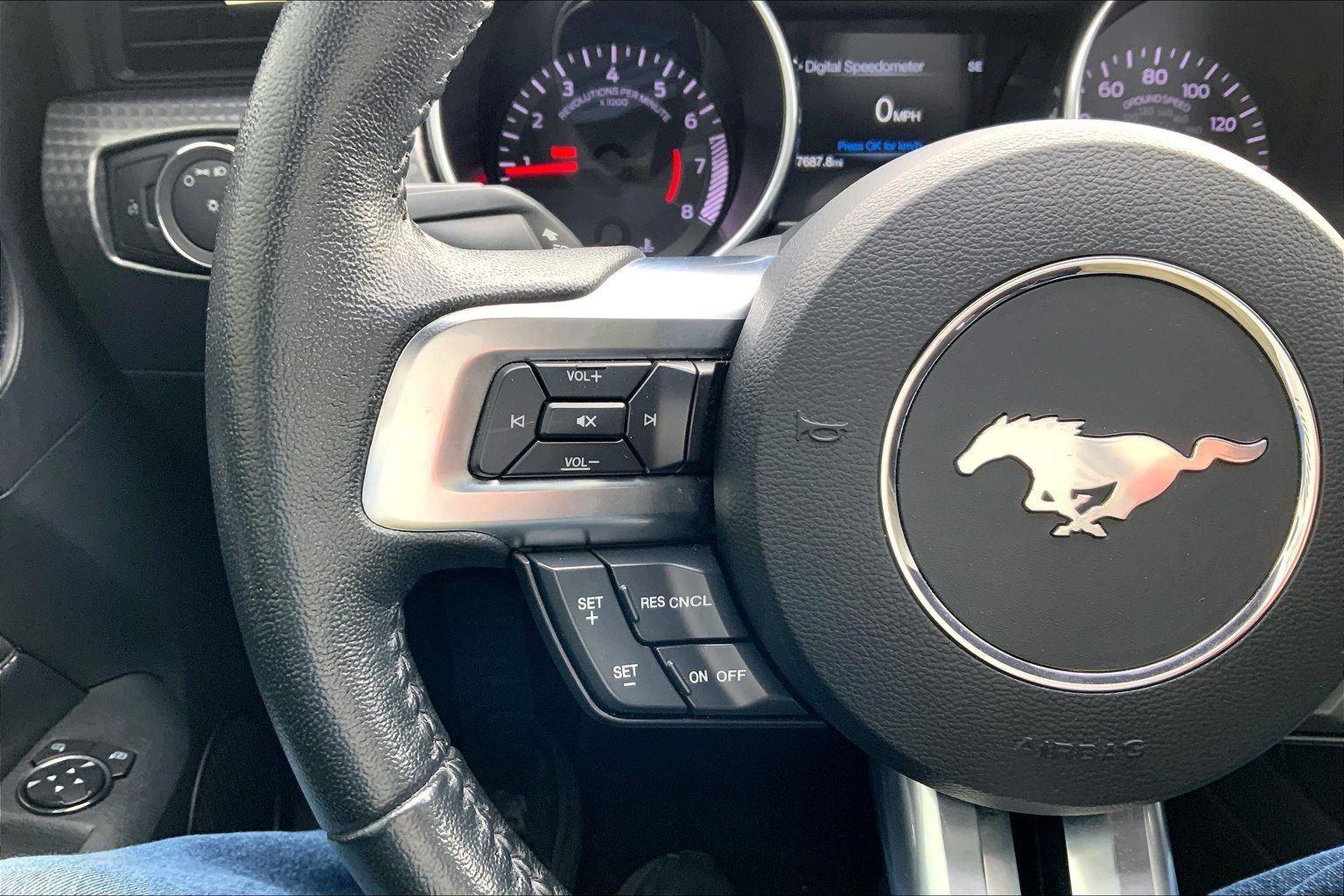 Used 2019 Ford Mustang Coupe w/ Ecoboost Performance Package image 12