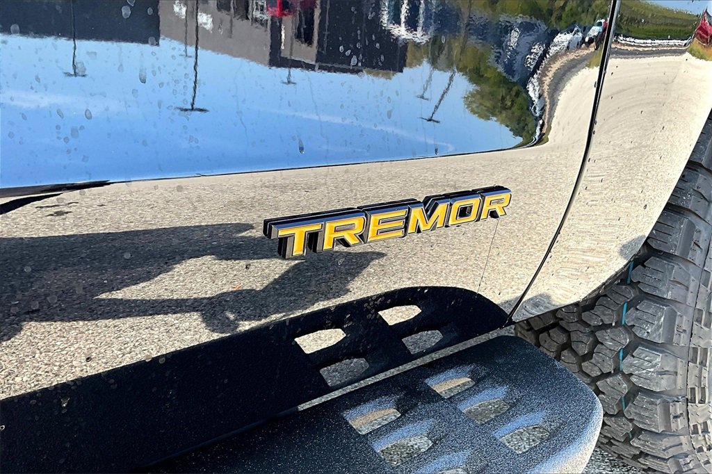 New 2025 Ford Expedition Tremor image 18