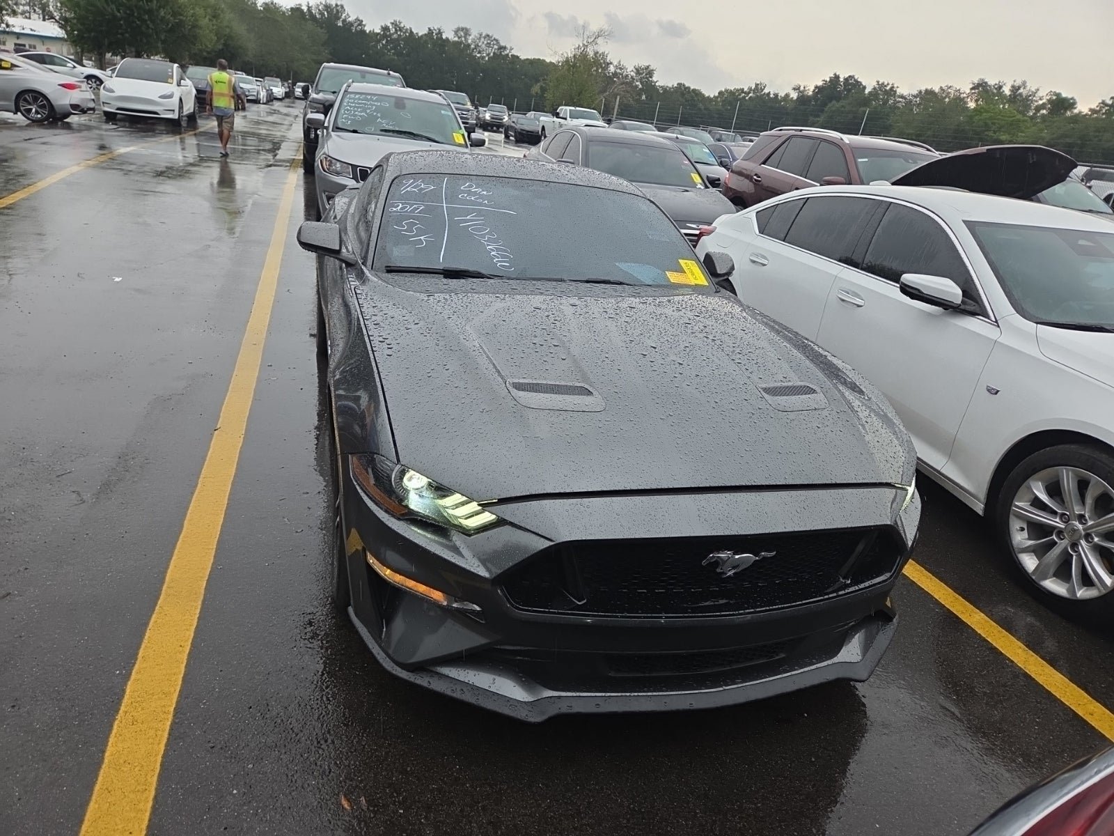 Used 2019 Ford Mustang GT RWD image 2