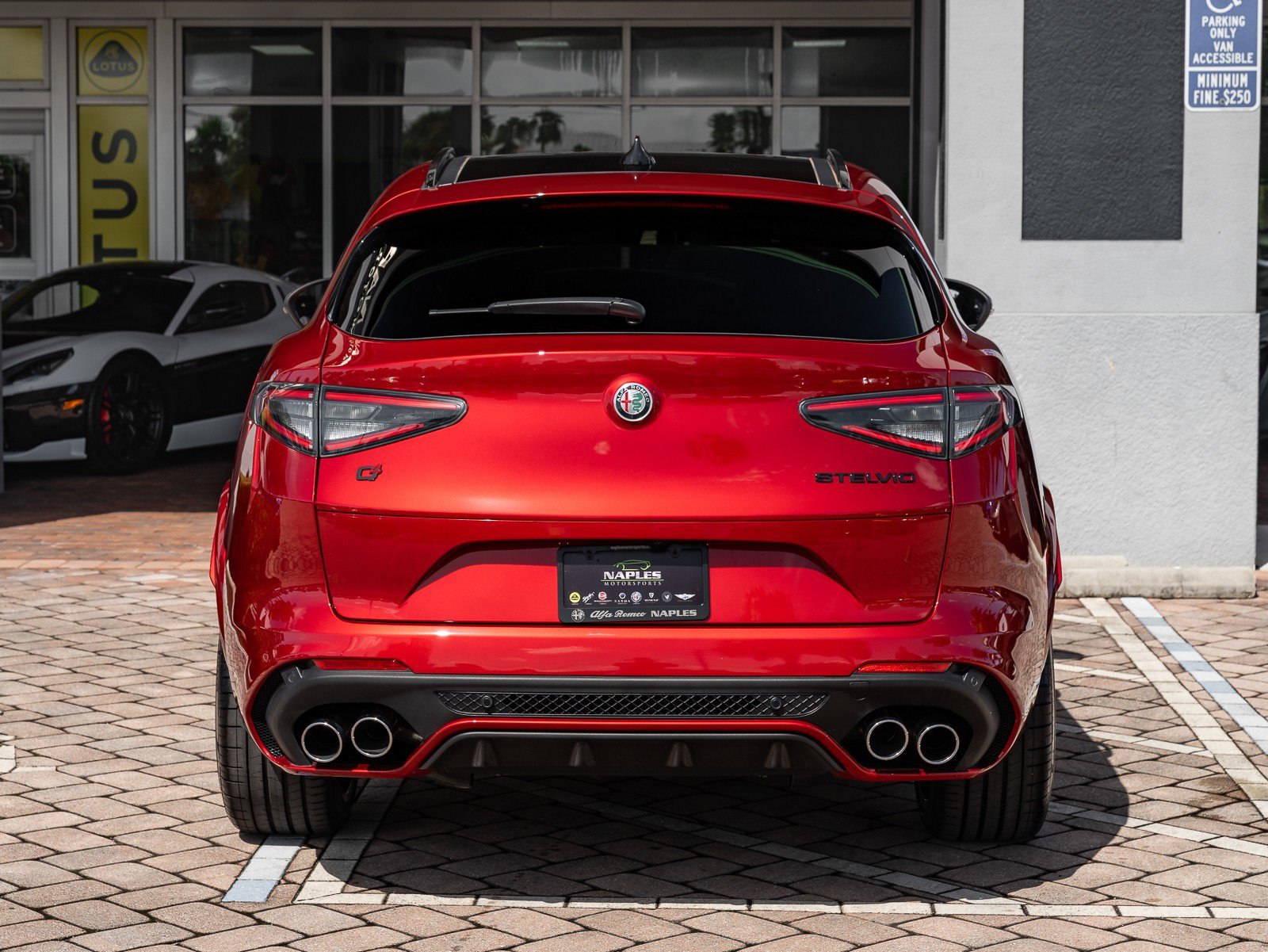New 2024 Alfa Romeo Stelvio Quadrifoglio image 20