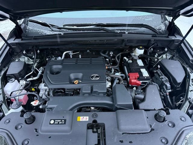 Used 2025 Lexus NX 250 250 Base image 14