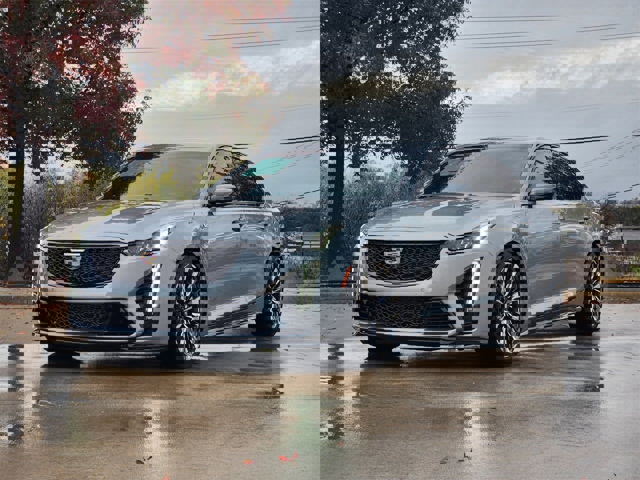 Used 2024 Cadillac CT5 V Blackwing w/ Driver Assist Package image 3