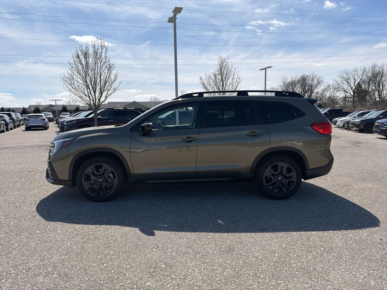 Certified 2024 Subaru Ascent Onyx Edition image 3