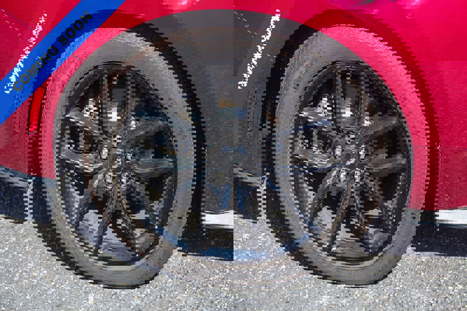 Used 2025 Ford Mustang Coupe w/ Mustang Nite Pony Package RWD image 11