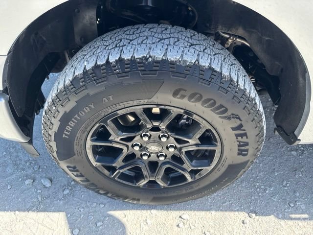 Used 2024 Ford F150 XLT w/ Equipment Group 302A MID AWD/4WD image 18