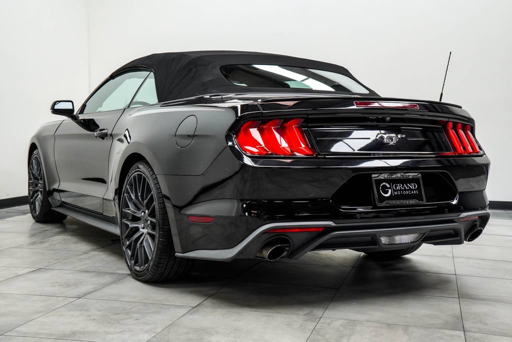 Used 2019 Ford Mustang Premium w/ Equipment Group 201A RWD image 9