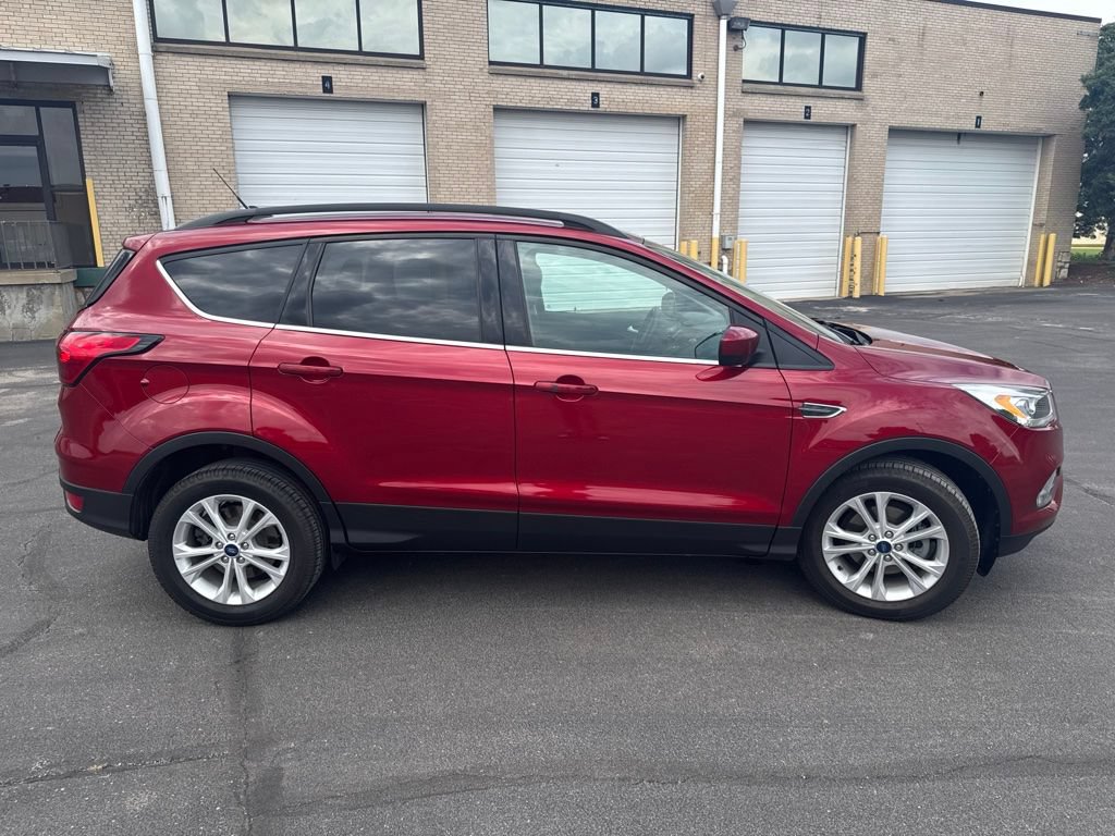 Used 2019 Ford Escape SEL FWD image 4